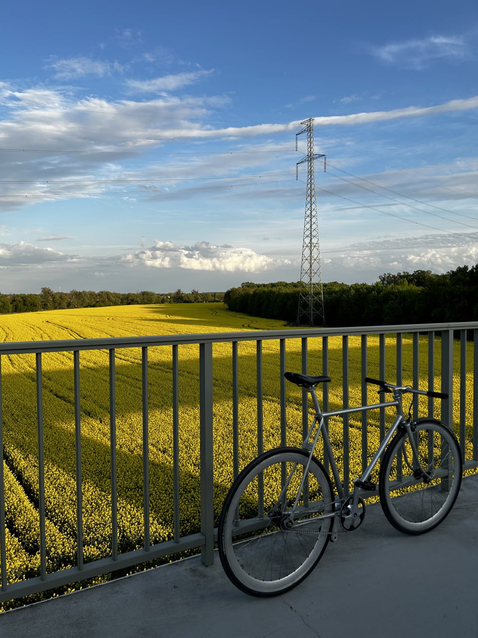 Bike Image